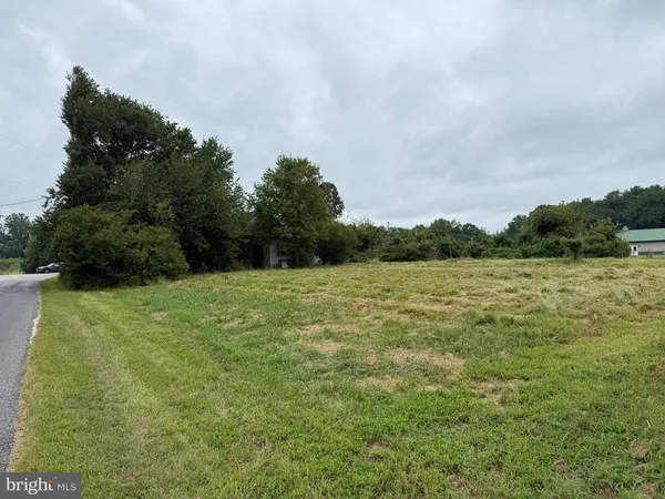 a big yard with lots of green space and fog
