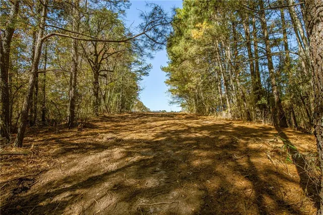 a view of outdoor space and trees