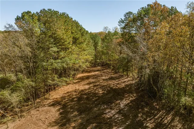 a view of outdoor space with trees
