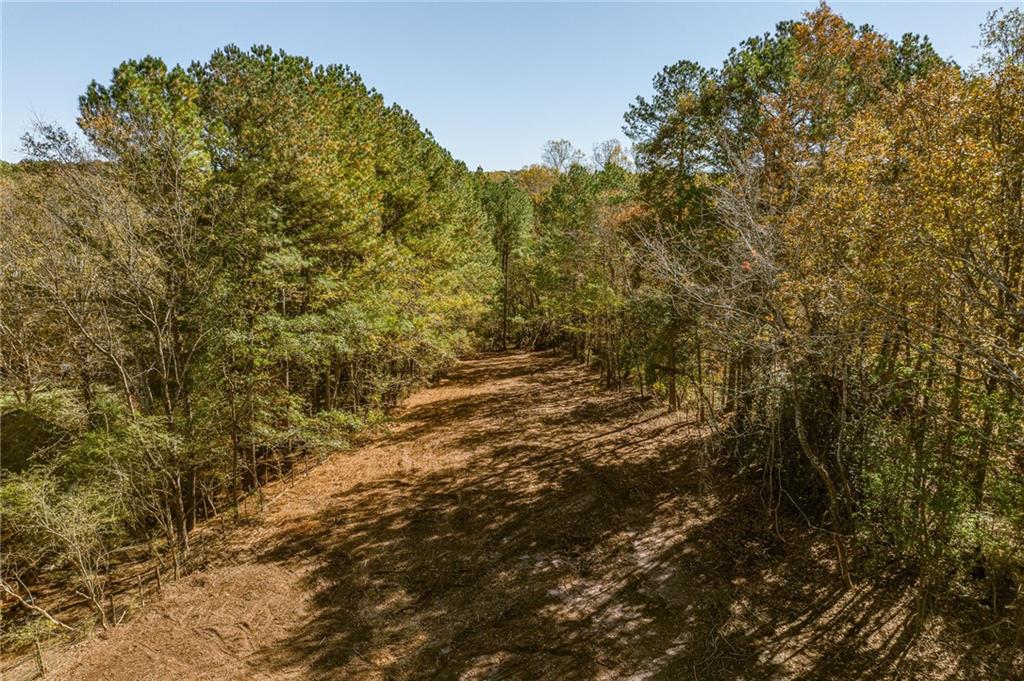 335 Wages Road Auburn, GA 30011 - Photo 22 of 35 a view of outdoor space and trees