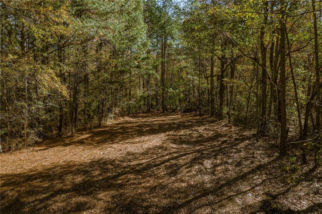 335 Wages Road Auburn, GA 30011 - Photo 23 of 35 a view of outdoor space with trees