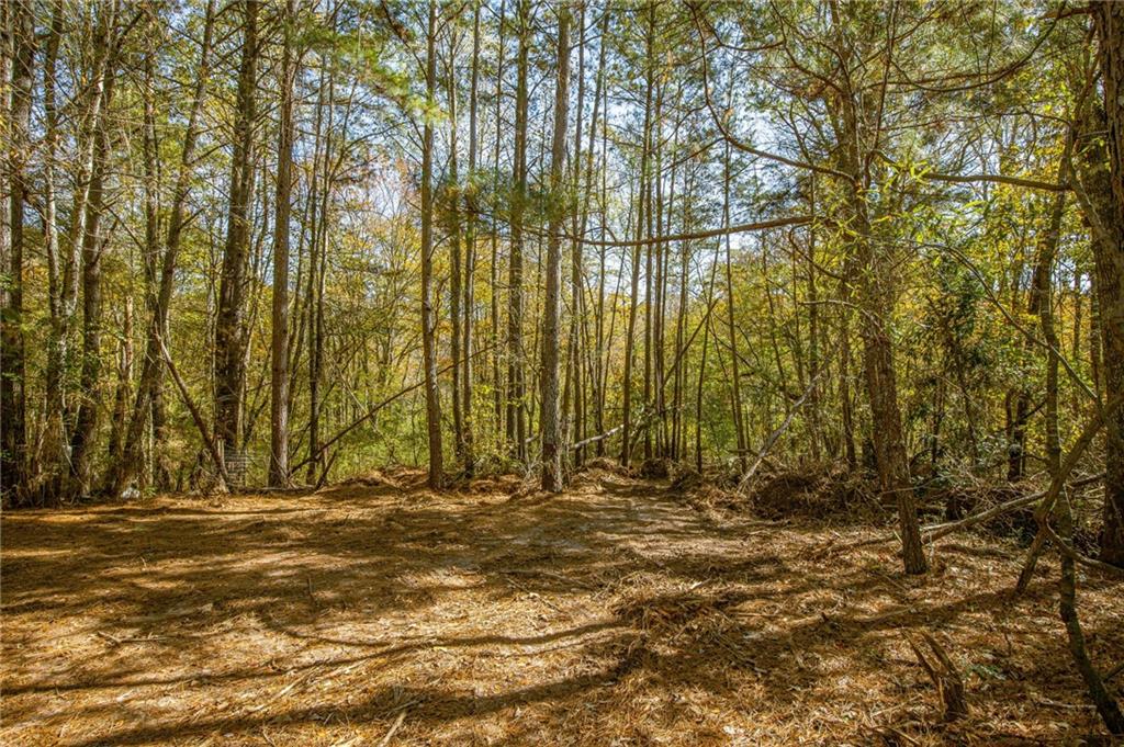 335 Wages Road Auburn, GA 30011 - Photo 24 of 35 a view of outdoor space with wooden fence