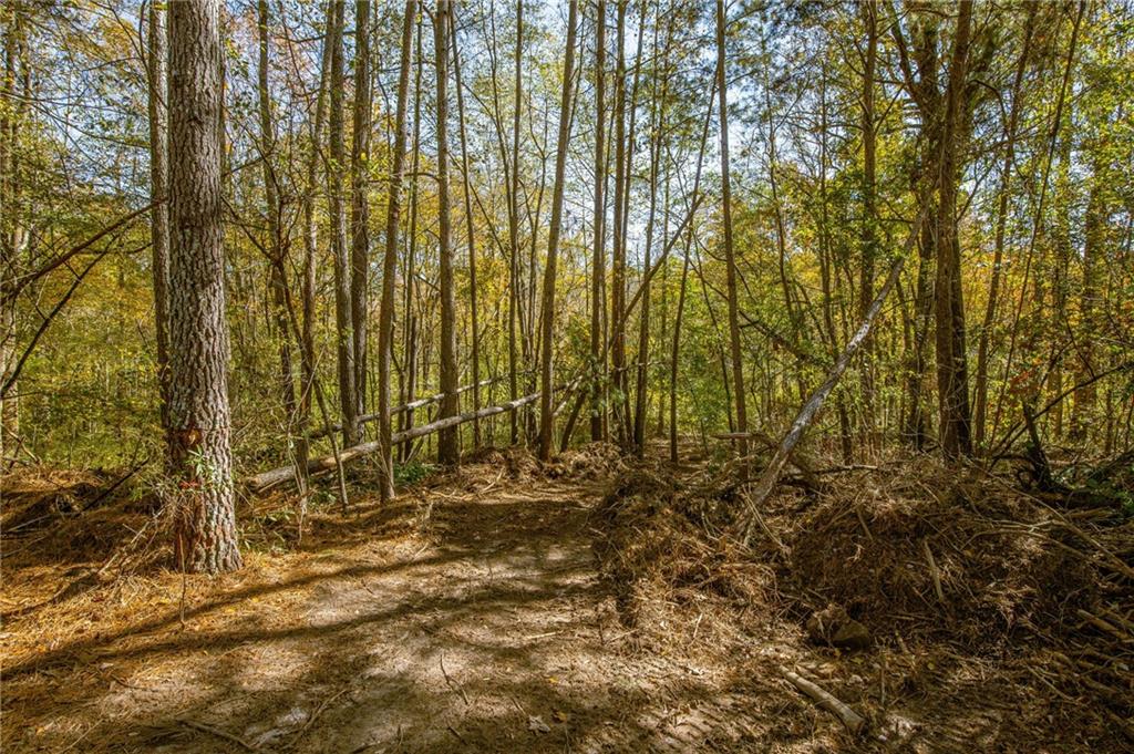 335 Wages Road Auburn, GA 30011 - Photo 25 of 35 a view of outdoor space with a yard