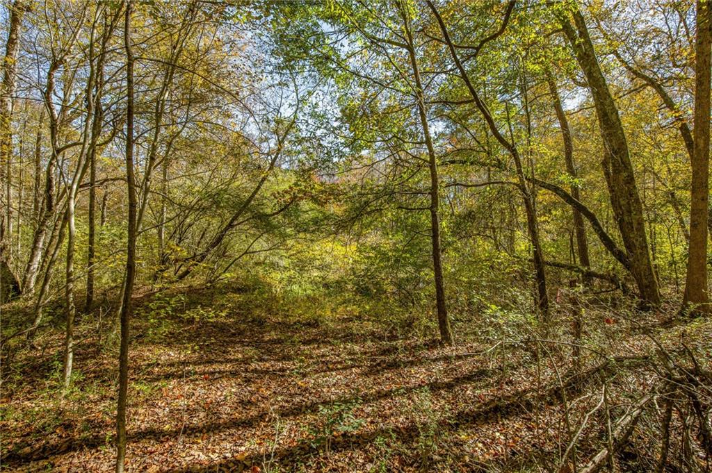 335 Wages Road Auburn, GA 30011 - Photo 26 of 35