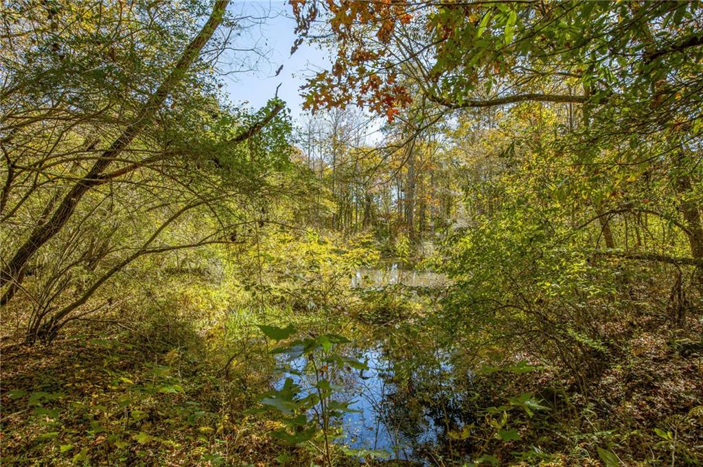 335 Wages Road Auburn, GA 30011 - Photo 27 of 35 a view of a tree