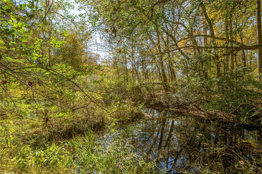 335 Wages Road Auburn, GA 30011 - Photo 28 of 35 a view of a yard with a tree