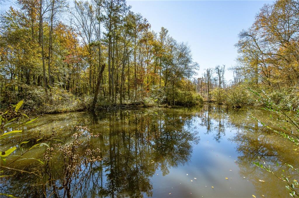 335 Wages Road Auburn, GA 30011 - Photo 29 of 35 a view of lake with green space