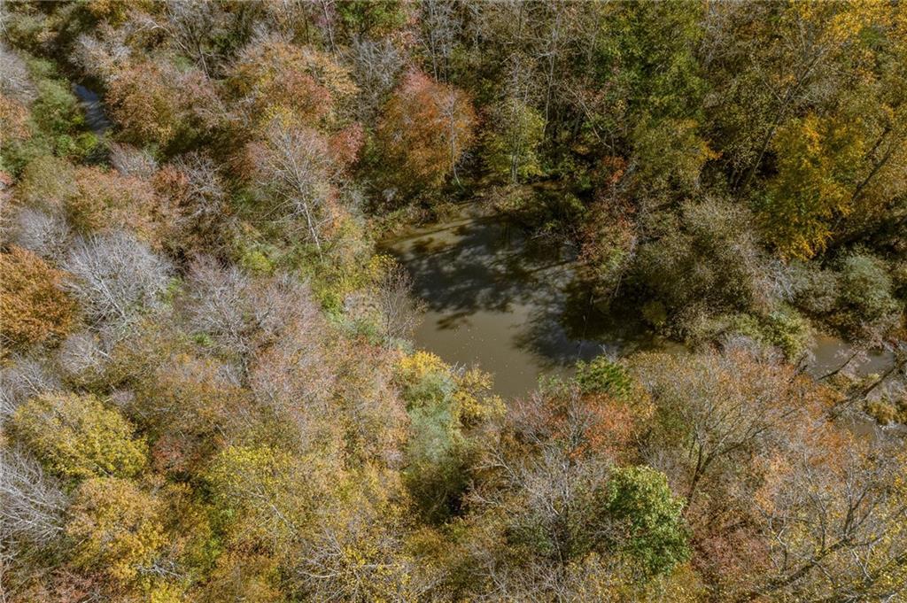 335 Wages Road Auburn, GA 30011 - Photo 34 of 35 a view of a covered with lots of trees