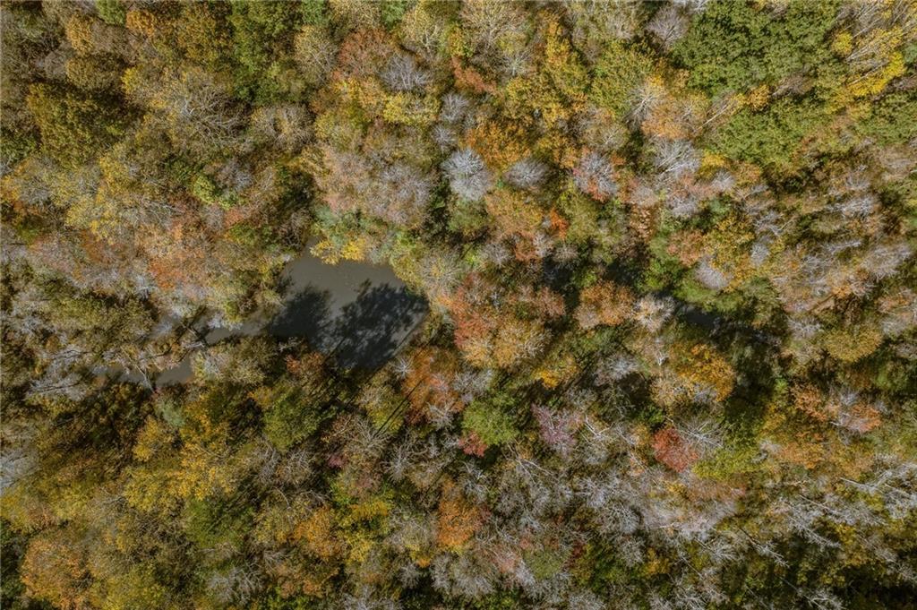 335 Wages Road Auburn, GA 30011 - Photo 35 of 35 a view of a covered with large trees