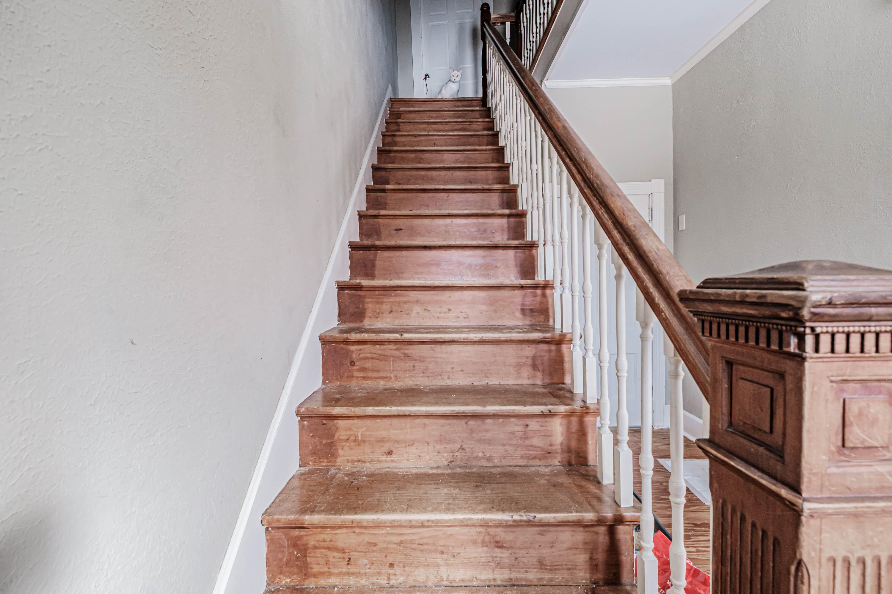 213 Roosevelt Trail Windham, ME 04062 - Photo 59 of 97 20240118gp-60059