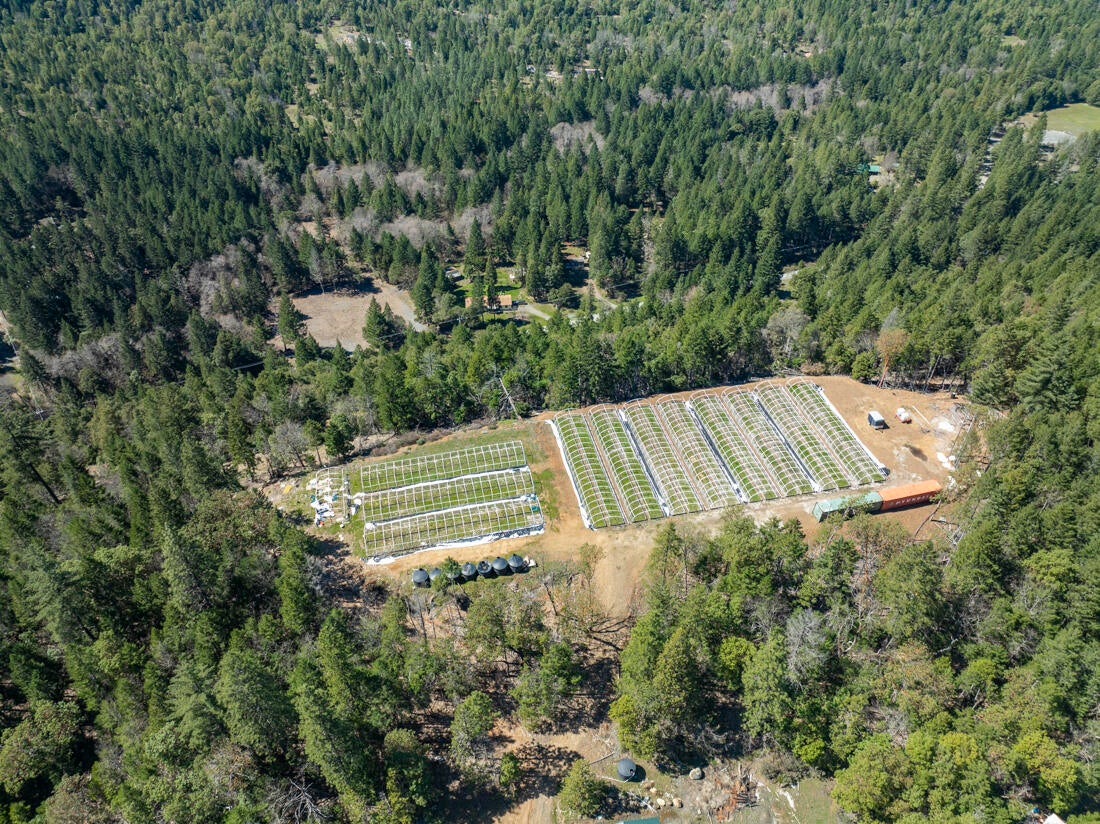550 Terrace Heights Road Selma, OR 97538 - Photo 10 of 26 DJI_0007