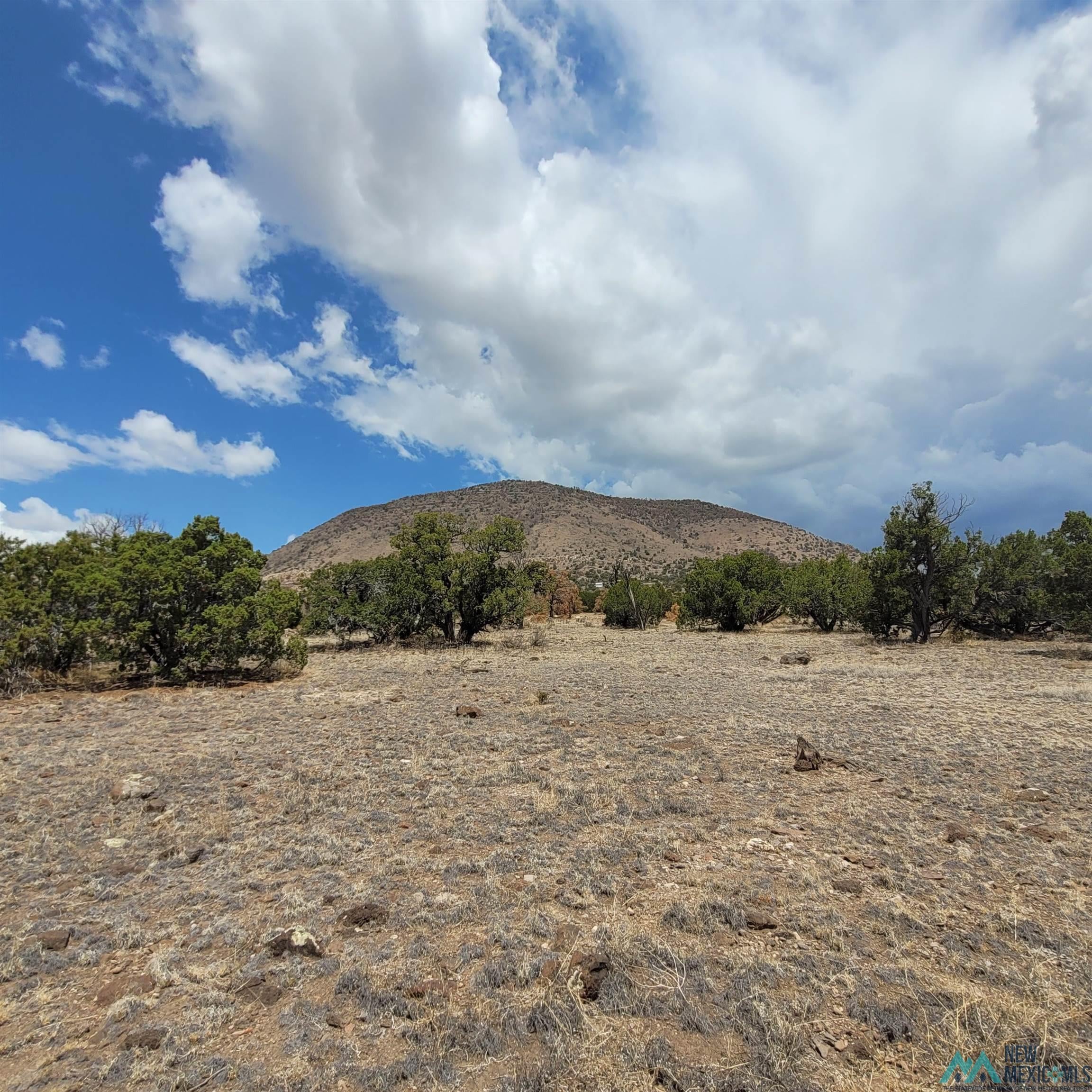 40 East Rock Loop Datil, NM 87821 - Photo 75 of 90 Gallery Image 75