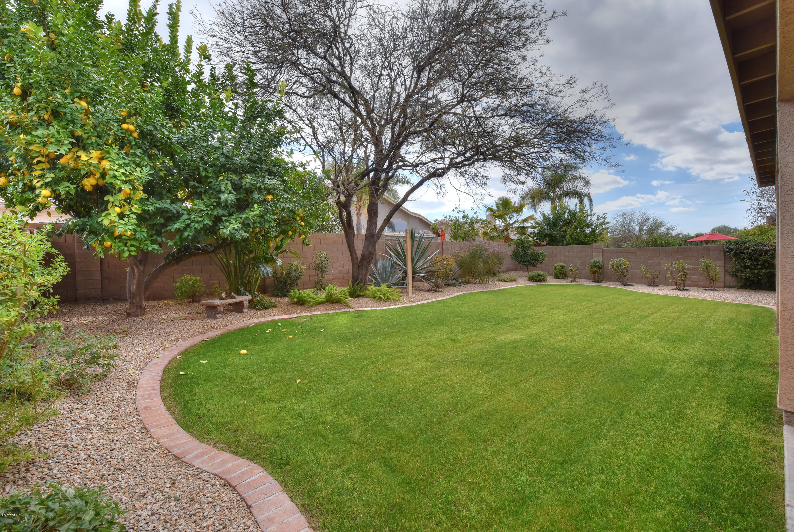 4359 East Briles Road Phoenix, AZ 85050 - Photo 26 of 30 Lush w/Lemon Tree