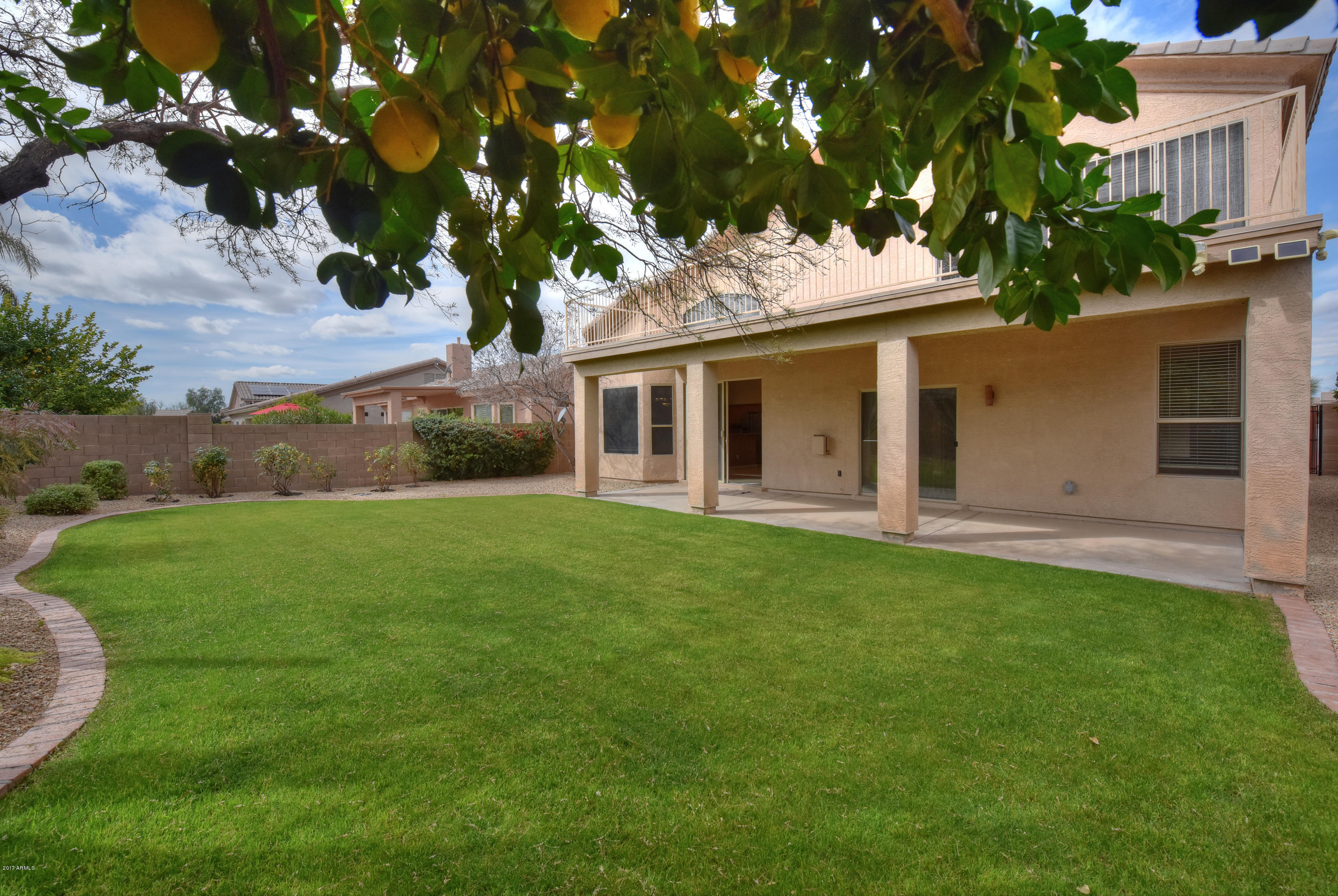 4359 East Briles Road Phoenix, AZ 85050 - Photo 28 of 30 View from Lemon Tree