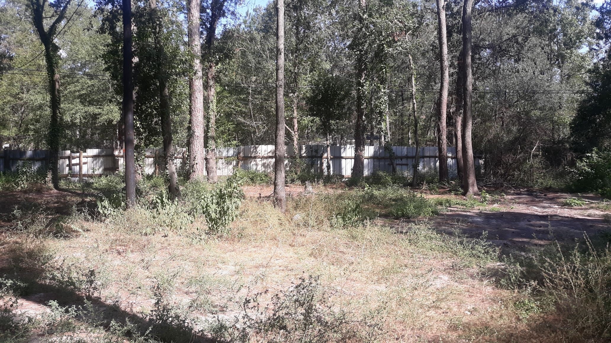 0 Stevens Street New Caney, TX 77357 - Photo 2 of 4