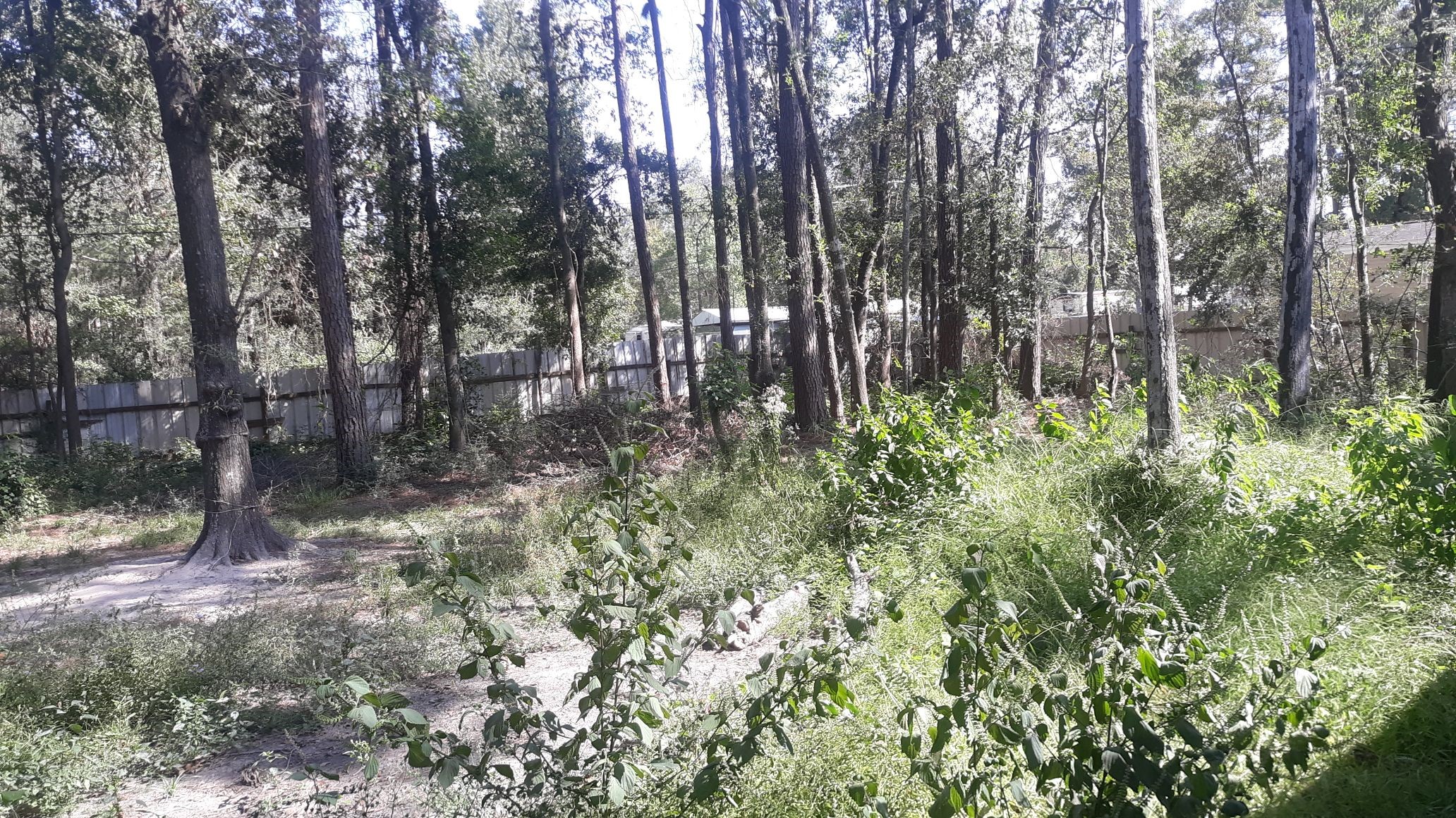 0 Stevens Street New Caney, TX 77357 - Photo 4 of 4