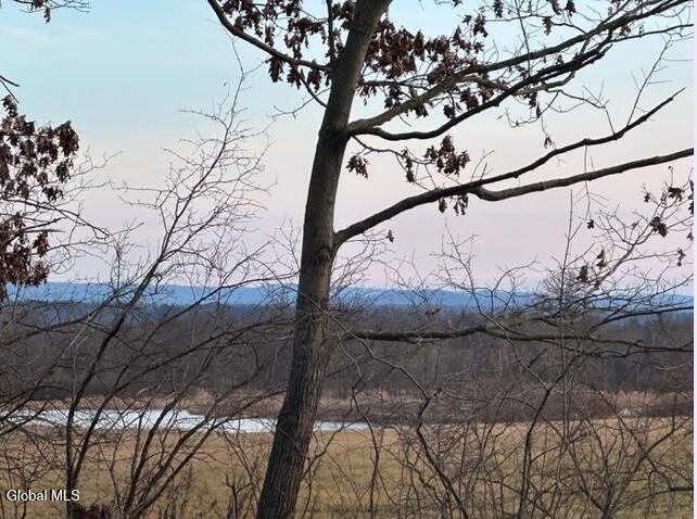 views from standing on the property.