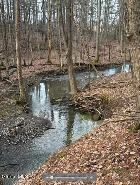109 Durham Road Stillwater, NY 12170 - Photo 4 of 13 The creek is the back property line.