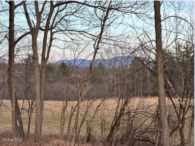 109 Durham Road Stillwater, NY 12170 - Photo 6 of 13 views from standing on the property.