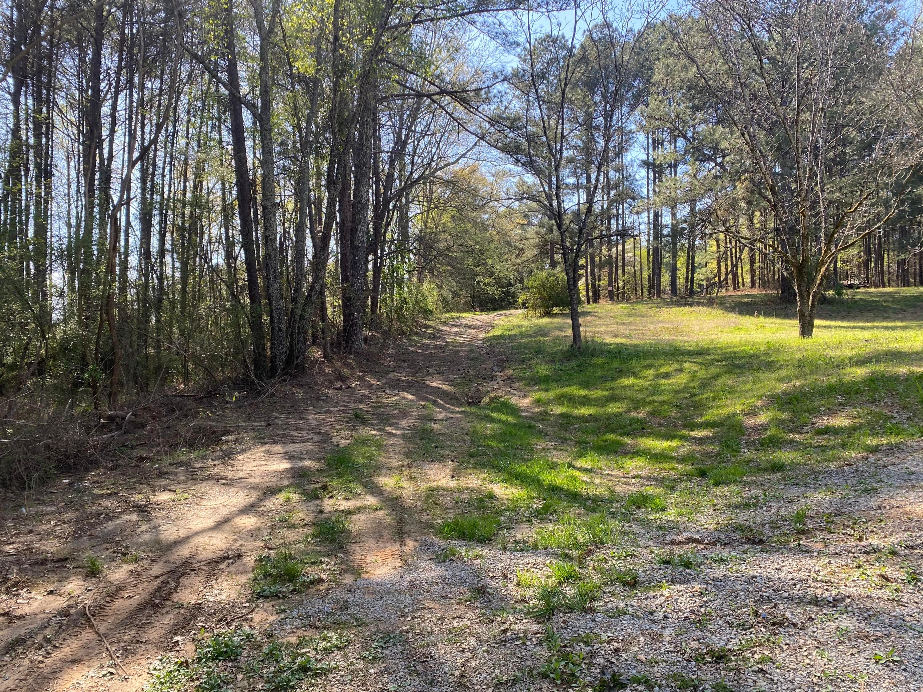 8380 River Road Warrior, AL 35180 - Photo 1 of 4 Gallery Image 1