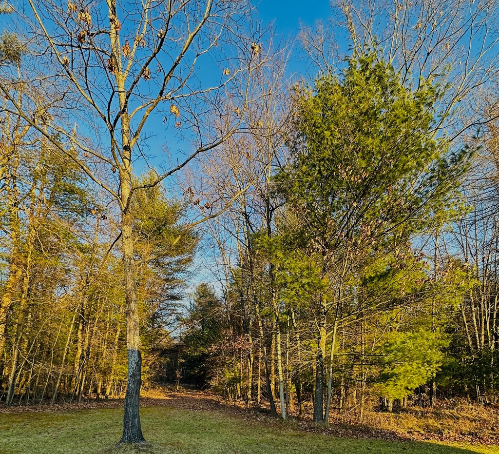 0 Miola Road Lucinda, PA 16235 - Photo 2 of 4