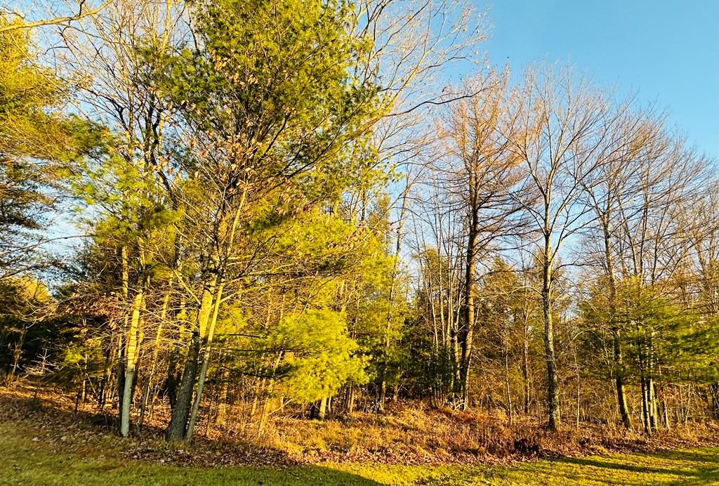 0 Miola Road Lucinda, PA 16235 - Photo 3 of 4