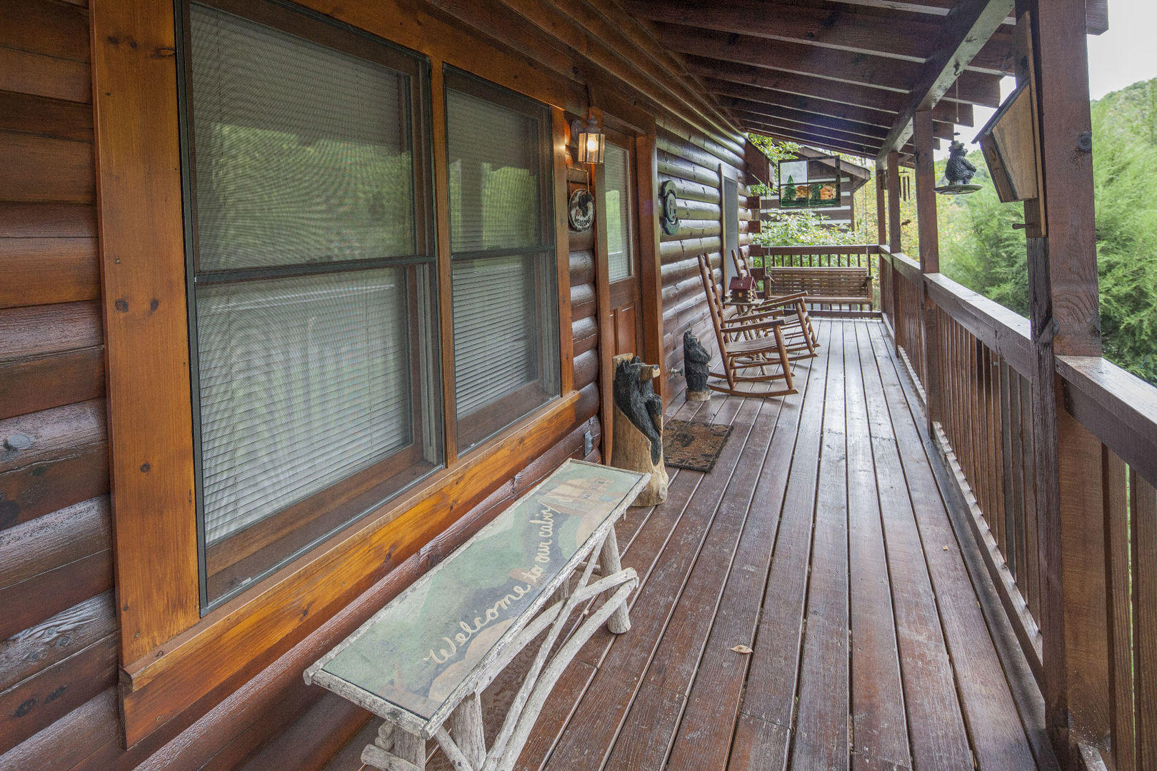746 Nighthawk Way Pigeon Forge, TN 37863 - Photo 6 of 21 er88 porch2