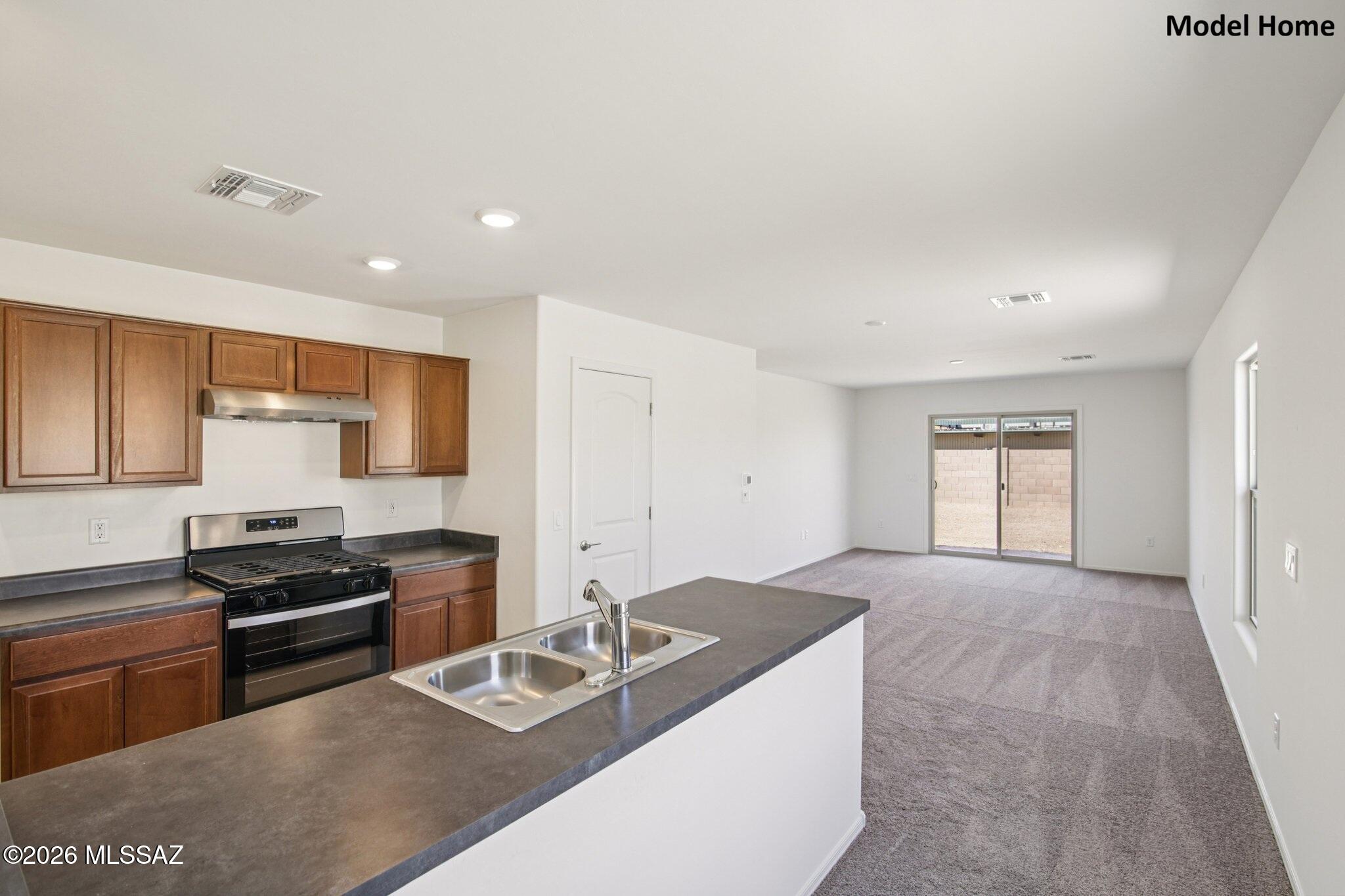 3516 West Prospero Street Tucson, AZ 85746 - Photo 2 of 17