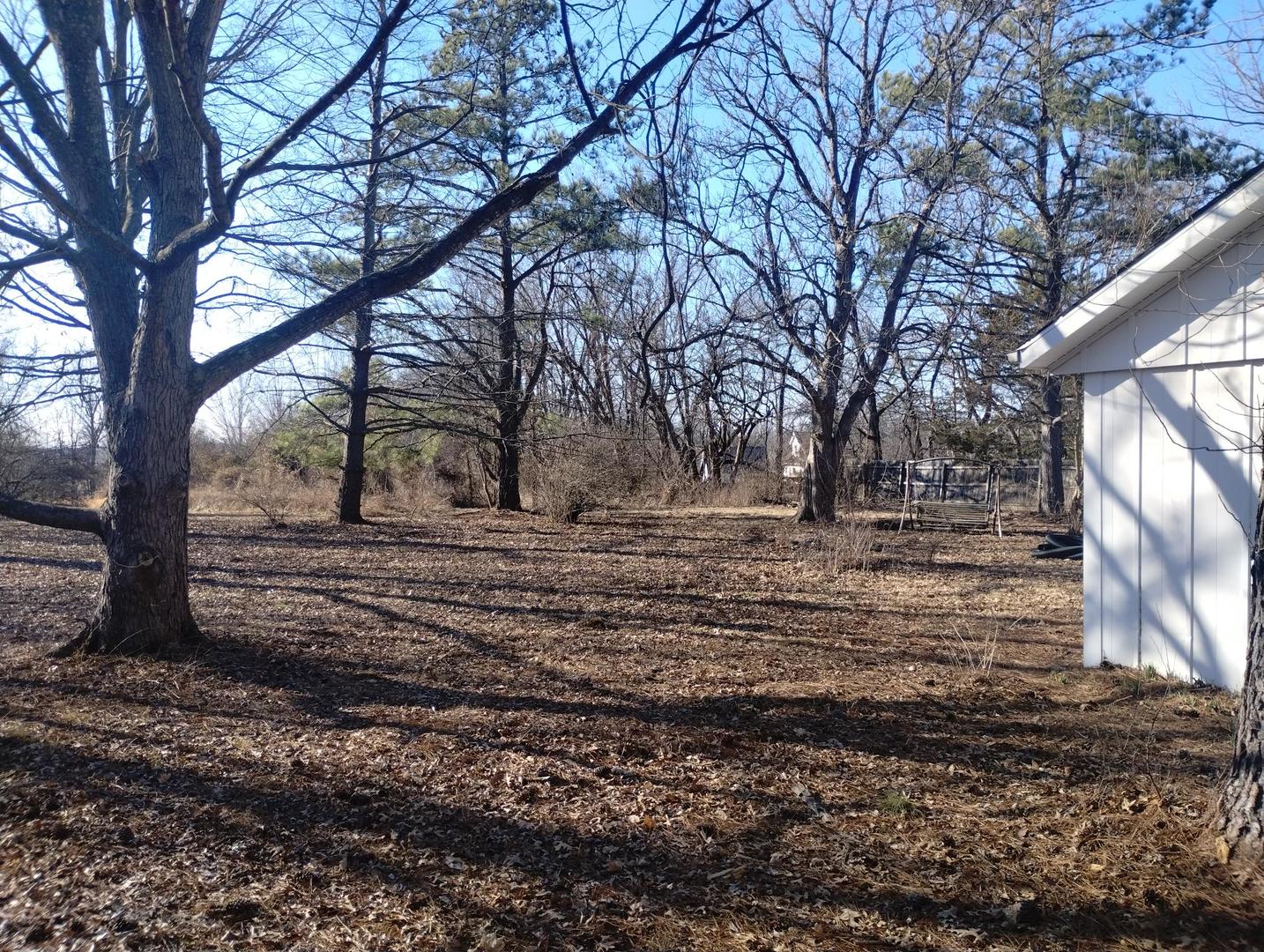 12527 Greenbriar Road Carterville, IL 62918 - Photo 3 of 12 a view of backyard of the house
