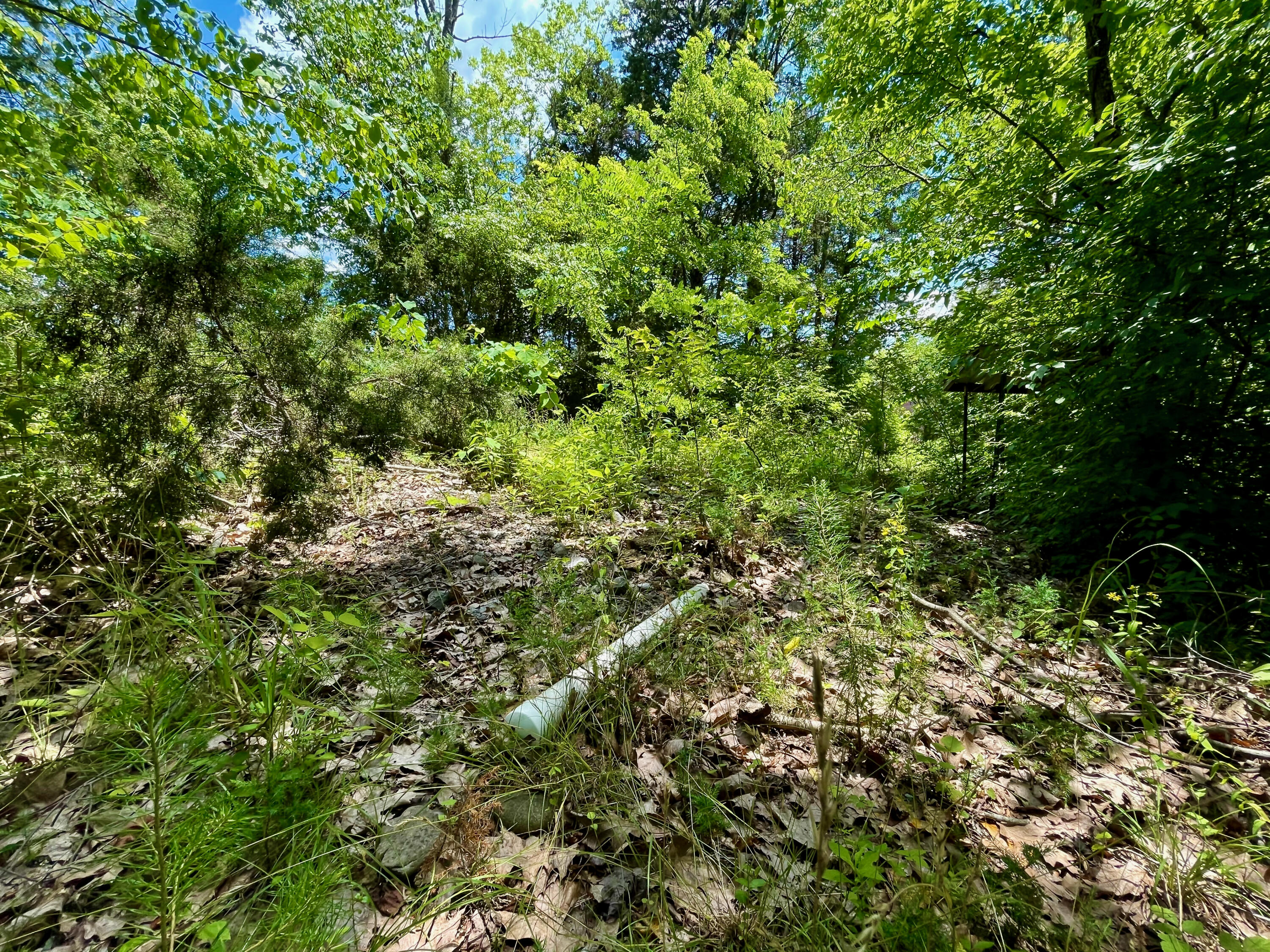 Providence Road Sevierville, TN 37876 - Photo 11 of 16 11