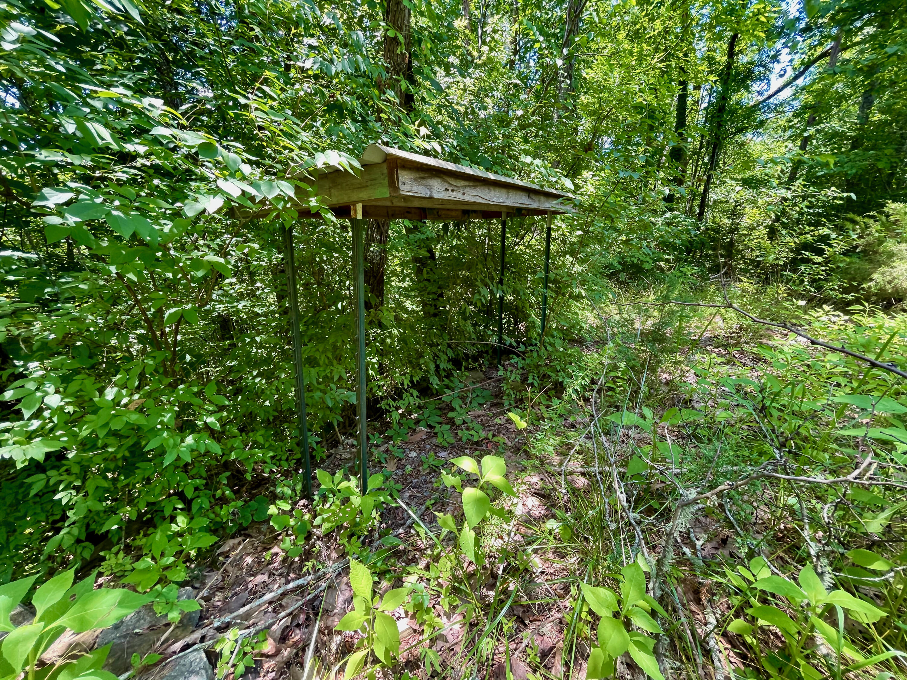 Providence Road Sevierville, TN 37876 - Photo 12 of 16 12