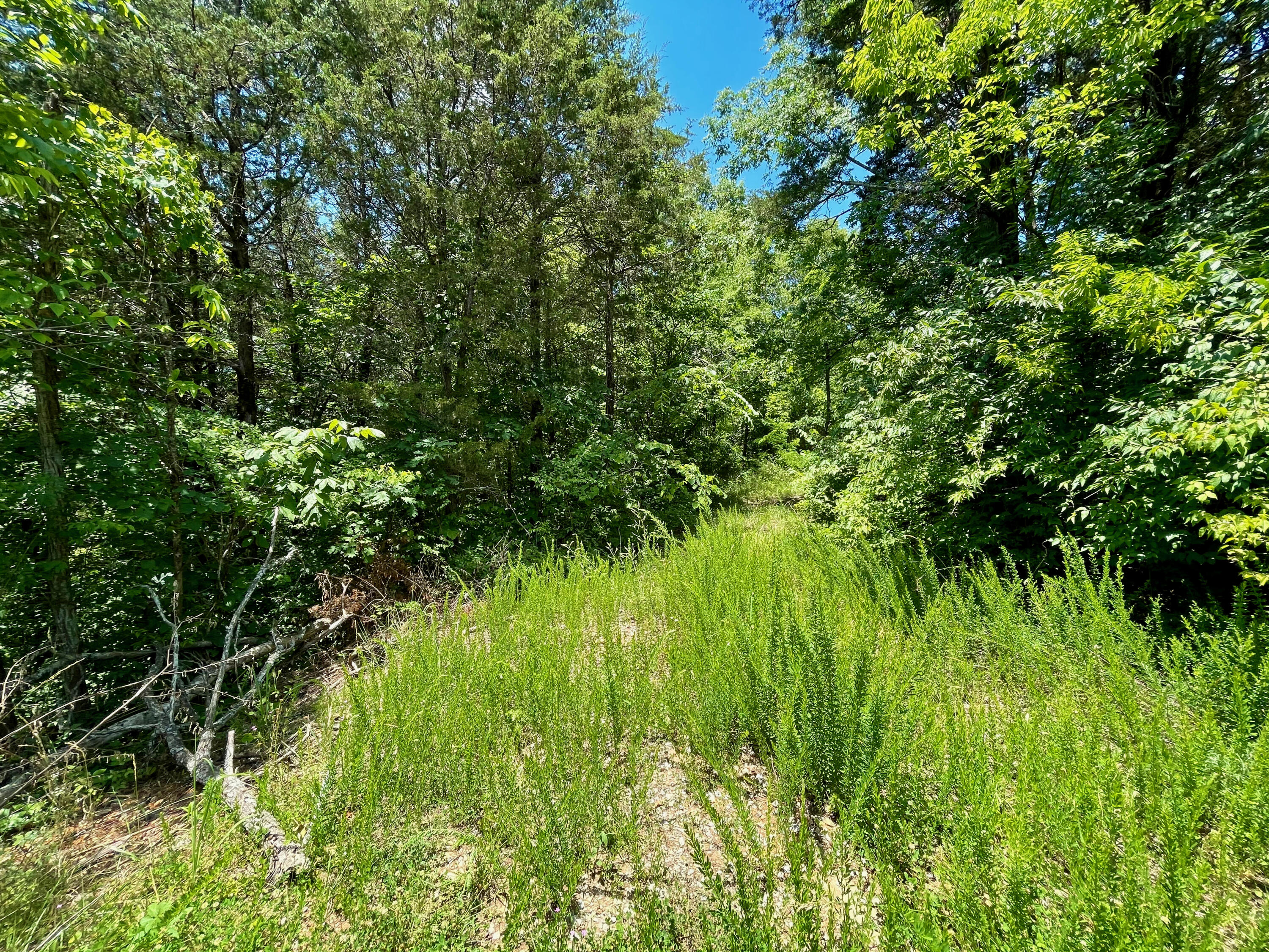 Providence Road Sevierville, TN 37876 - Photo 14 of 16 14