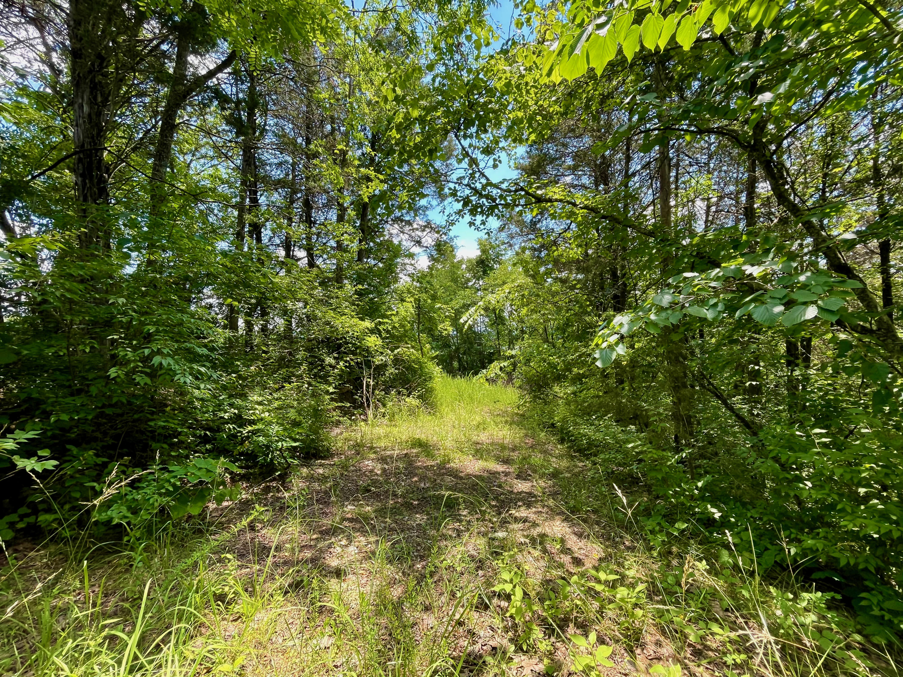 Providence Road Sevierville, TN 37876 - Photo 9 of 16 9