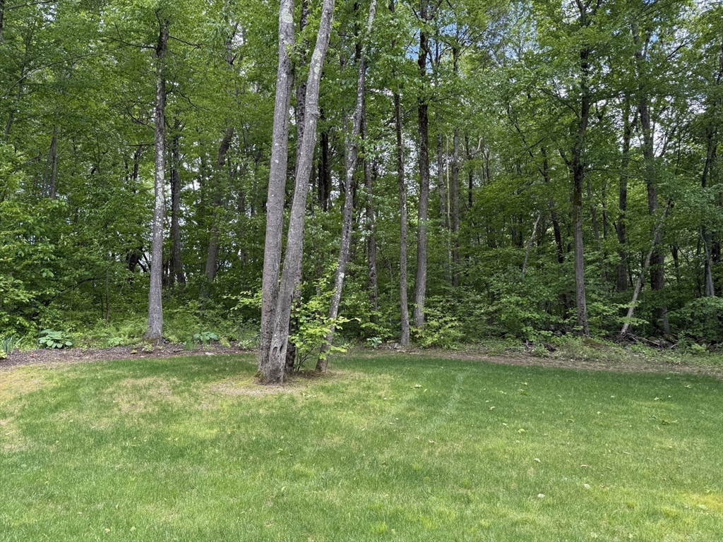 236 Barre Paxton Road, Unit 236 Rutland, MA 01543 - Photo 36 of 36
