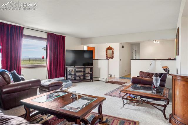 8155 Soap Weed Road Calhan, CO 80808 - Photo 8 of 39 Living room with carpet and a baseboard radiator