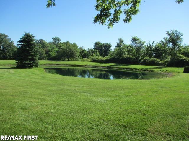 22255 Pratt Road Armada, MI 48005 - Photo 7 of 43 50141796-62656924-492b-498b-aa75-25d4ee8f90b9.JPG