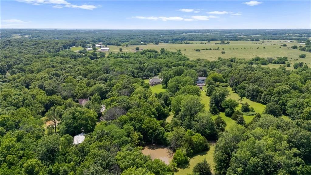 14515 Hutt Road Lone Jack, MO 64070 - Photo 43 of 47