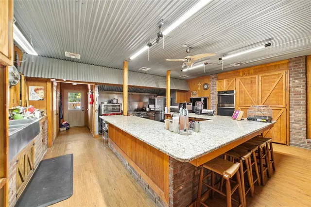 a room with furniture a rug and a potted plant
