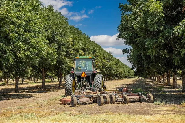 a view of a park with bench and trees
