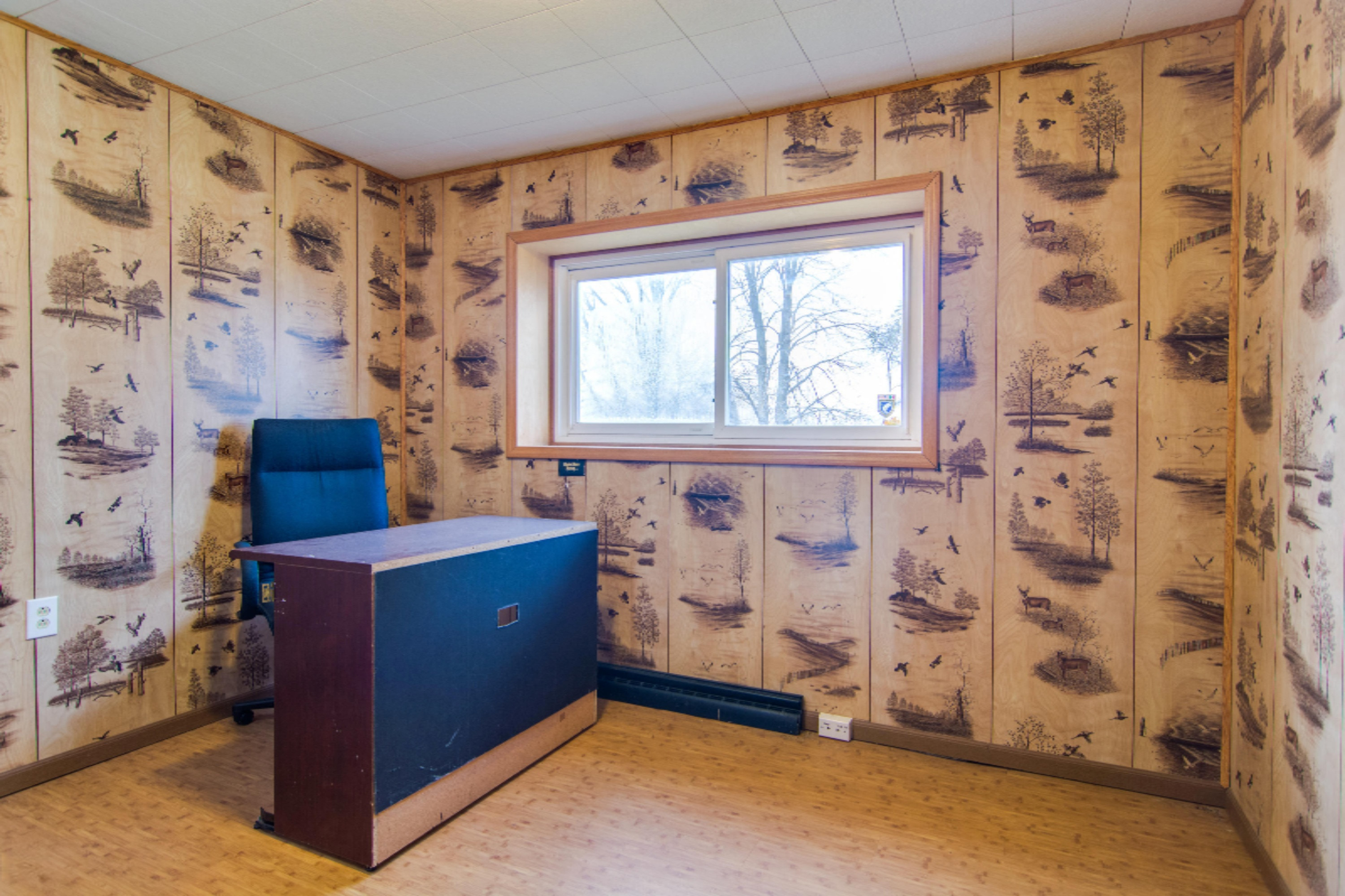3828 South State Road Ionia, MI 48846 - Photo 15 of 46 _DSC7324Enfused