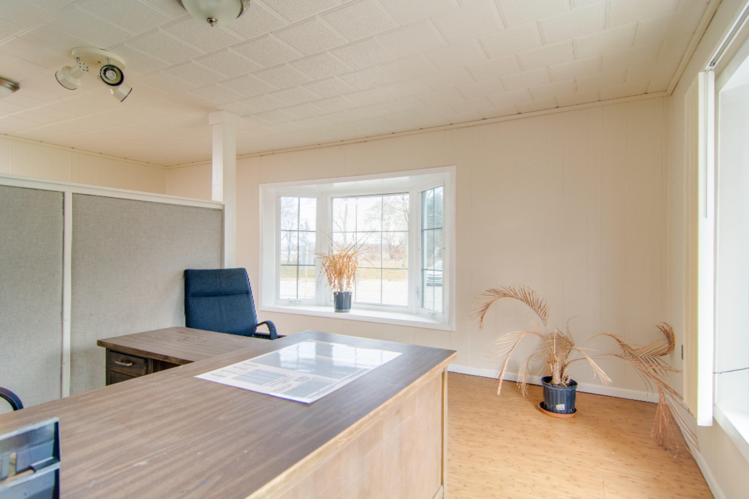 3828 South State Road Ionia, MI 48846 - Photo 4 of 46 _DSC7296Enfused
