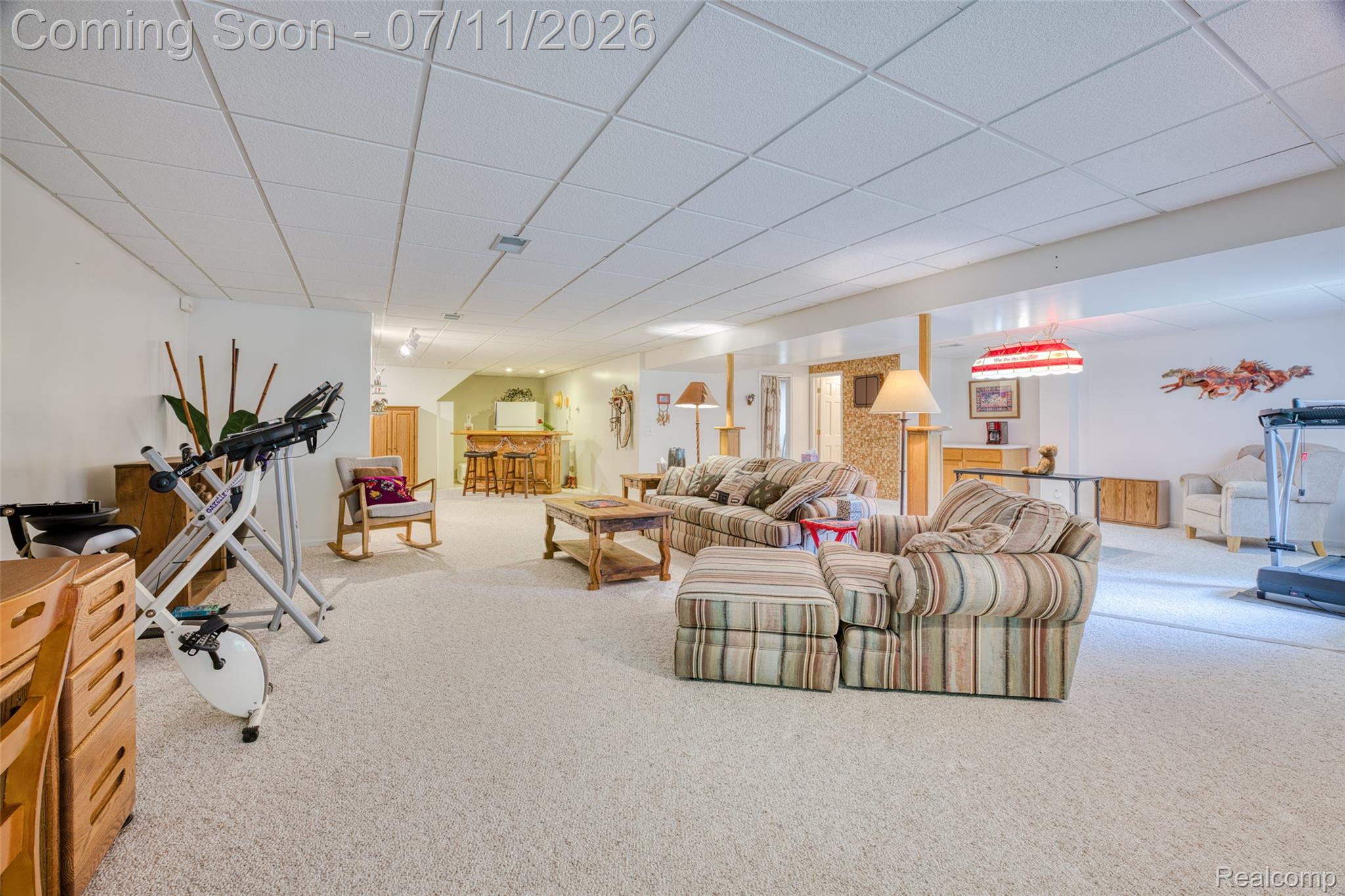 21790 River Ridge Trail Farmington, MI 48335 - Photo 25 of 34 image-28.jpg
