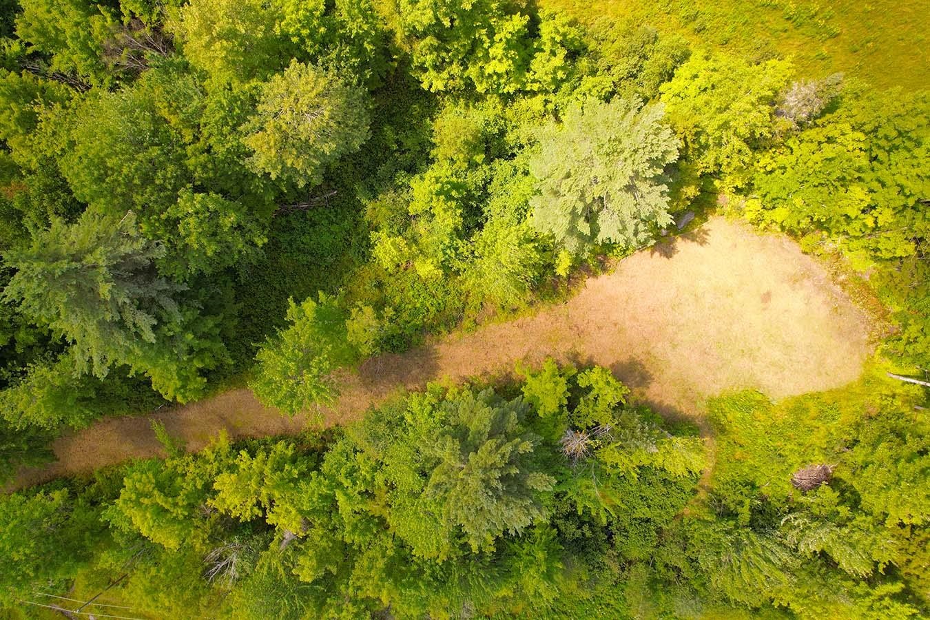 337 Lakeview Lane Elmore, VT 05680 - Photo 11 of 16