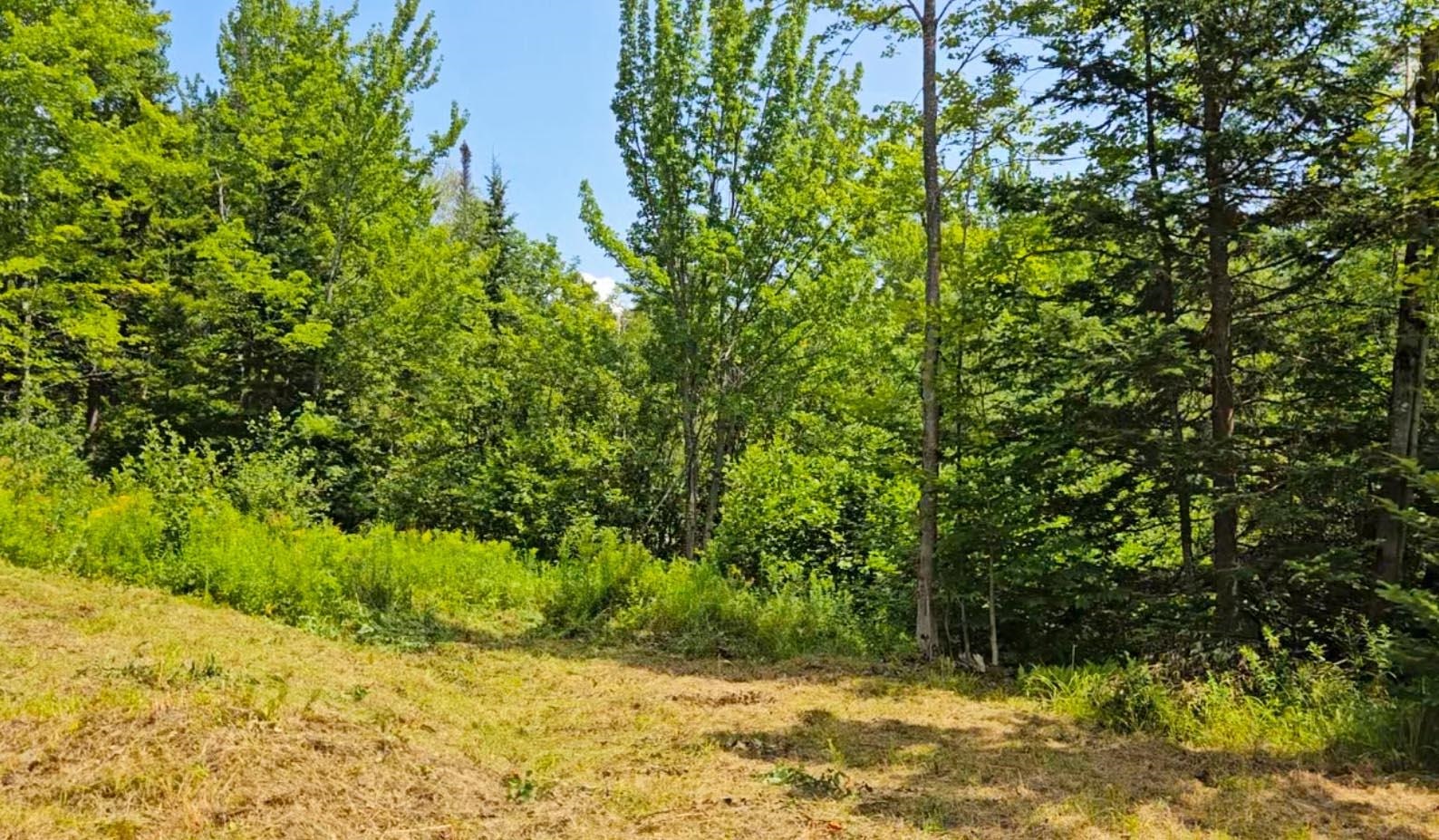 337 Lakeview Lane Elmore, VT 05680 - Photo 14 of 16