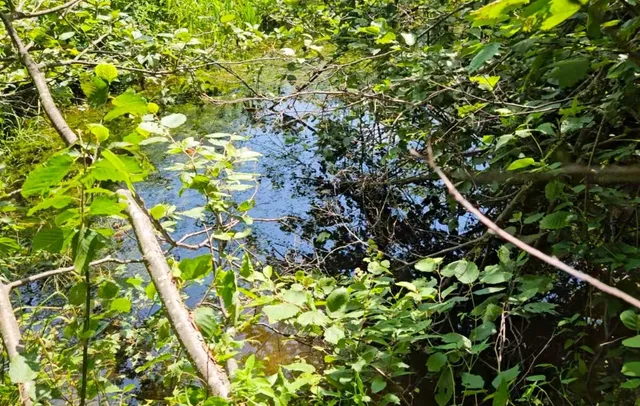 $154,000 | 337 Lakeview Lane, Elmore, VT 05680