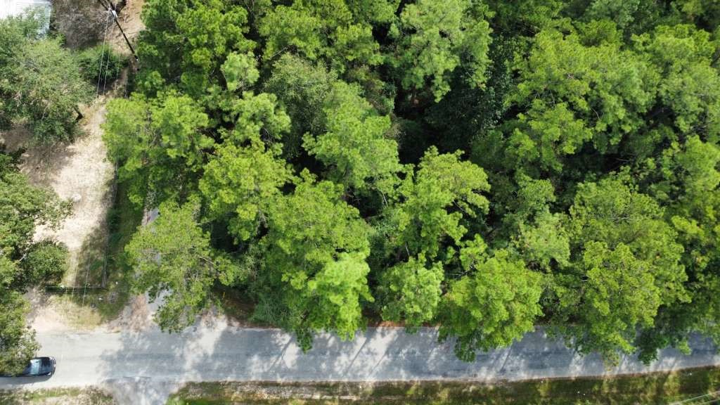Lot 336 Powdrill Buna, TX 77612 - Photo 1 of 4 a view of a garden with a tree