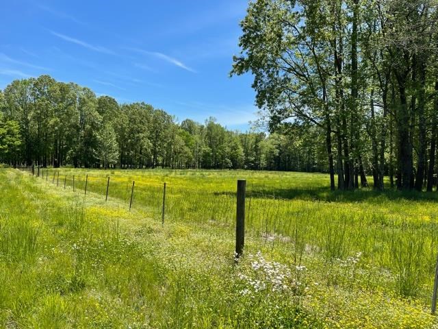805 Cardwell Road Middleton, TN 38052 - Photo 13 of 18 Gallery Image 13
