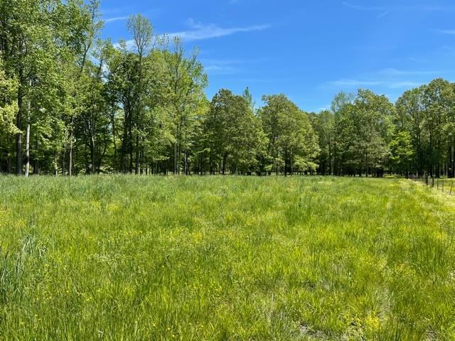 805 Cardwell Road Middleton, TN 38052 - Photo 14 of 18 Gallery Image 14