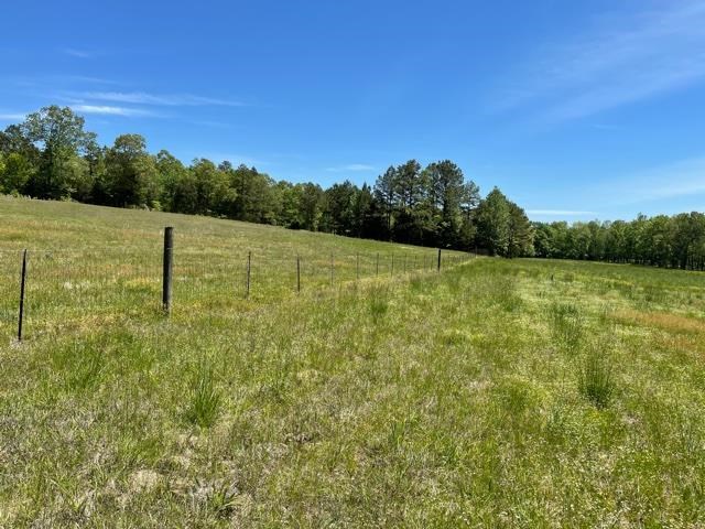 805 Cardwell Road Middleton, TN 38052 - Photo 16 of 18 Gallery Image 16