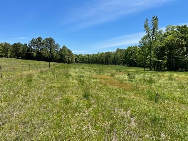 805 Cardwell Road Middleton, TN 38052 - Photo 17 of 18 Gallery Image 17